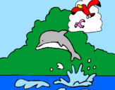 Disegno Delfino e gabbiano  pitturato su michelangelo