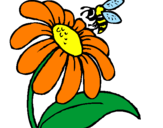 Disegno Margherita con ape  pitturato su Raffy