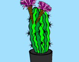 Disegno Cactus fioriti pitturato su fiby