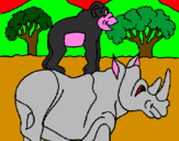 Disegno Rinoceronte e scimmietta  pitturato su tommy