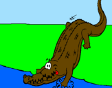 Disegno Alligatore che entra nell'acqua  pitturato su paolo