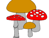 Disegno Funghi pitturato su alessandro