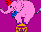 Disegno Elefante sulla palla  pitturato su michela
