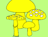 Disegno Funghi pitturato su margarita