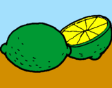 Disegno limone  pitturato su ALESSANDRO