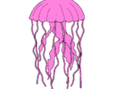 Disegno Medusa  pitturato su kbjgiug