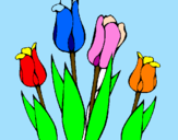 Disegno Tulipani  pitturato su TRILLY