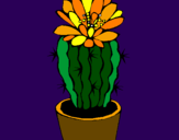 Disegno Cactus fiorito  pitturato su alice
