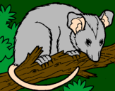 Disegno Scoiattolo Possum marsupiale pitturato su  giada