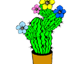 Disegno Fiori di cactus  pitturato su veronica