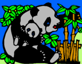 Disegno Mamma panda  pitturato su anna raffy psquy