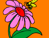 Disegno Margherita con ape  pitturato su MELITA jacqueline