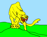 Disegno Tigre con affilati canini  pitturato su Davide