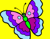 Disegno Farfalla  pitturato su giulia vil