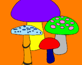 Disegno Funghi pitturato su GIADA