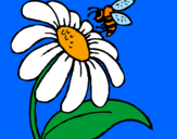 Disegno Margherita con ape  pitturato su Alberto