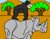 Disegno Rinoceronte e scimmietta  pitturato su edoardo