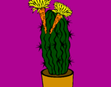 Disegno Cactus fioriti pitturato su giovanni