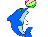 Disegno Delfino con una palla  pitturato su STELLA TITTI