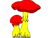 Disegno Funghi pitturato su giulia