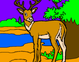 Disegno Giovane cervo pitturato su giada ghisu