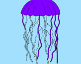 Disegno Medusa  pitturato su FLAVIAGANI