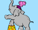 Disegno Elefante  pitturato su Laura
