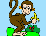 Disegno Scimmietta  pitturato su stefania