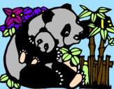 Disegno Mamma panda  pitturato su laura