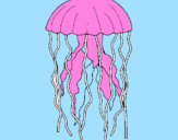 Disegno Medusa  pitturato su tartaruga di mare