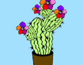 Disegno Fiori di cactus  pitturato su sofia
