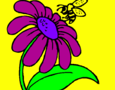 Disegno Margherita con ape  pitturato su clelia