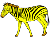 Disegno Zebra  pitturato su giada