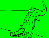 Disegno Alligatore che entra nell'acqua  pitturato su AGUSTIN