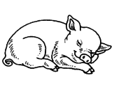 Disegno Maialino addormentato  pitturato su maiale