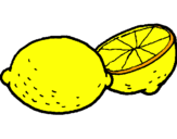 Disegno limone  pitturato su Ilaria 