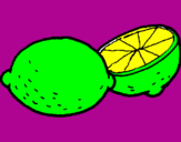 Disegno limone  pitturato su margarita