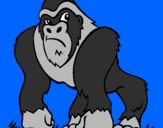 Disegno Gorilla pitturato su giovanni