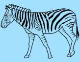 Disegno Zebra  pitturato su luigi