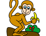 Disegno Scimmietta  pitturato su simo