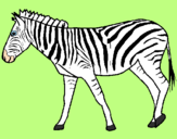 Disegno Zebra  pitturato su irene