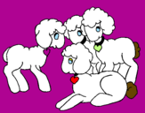 Disegno Pecore pitturato su linda