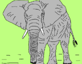 Disegno Elefante  pitturato su love elephant
