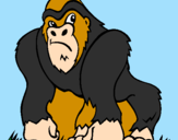 Disegno Gorilla pitturato su andrea