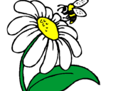 Disegno Margherita con ape  pitturato su alice