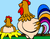 Disegno Gallo e gallina  pitturato su zaira