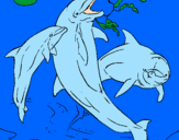 Disegno Delfini che giocano  pitturato su filippo