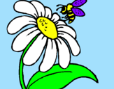 Disegno Margherita con ape  pitturato su Camilla