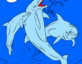 Disegno Delfini che giocano  pitturato su gabriele 1