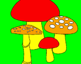 Disegno Funghi pitturato su lorenzo